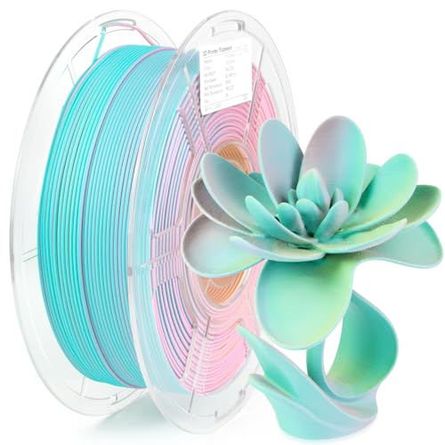 Clear Multicolor PLA 3D Printer Filament 1KG F429349