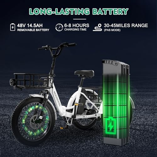 500W Folding Electric Tricycle A117