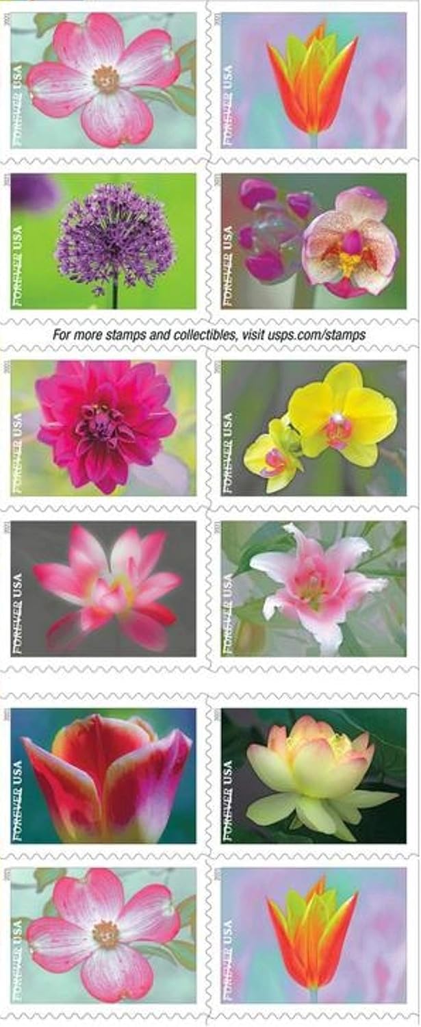 20 Self-Stick First Class Postage Stamps D839755