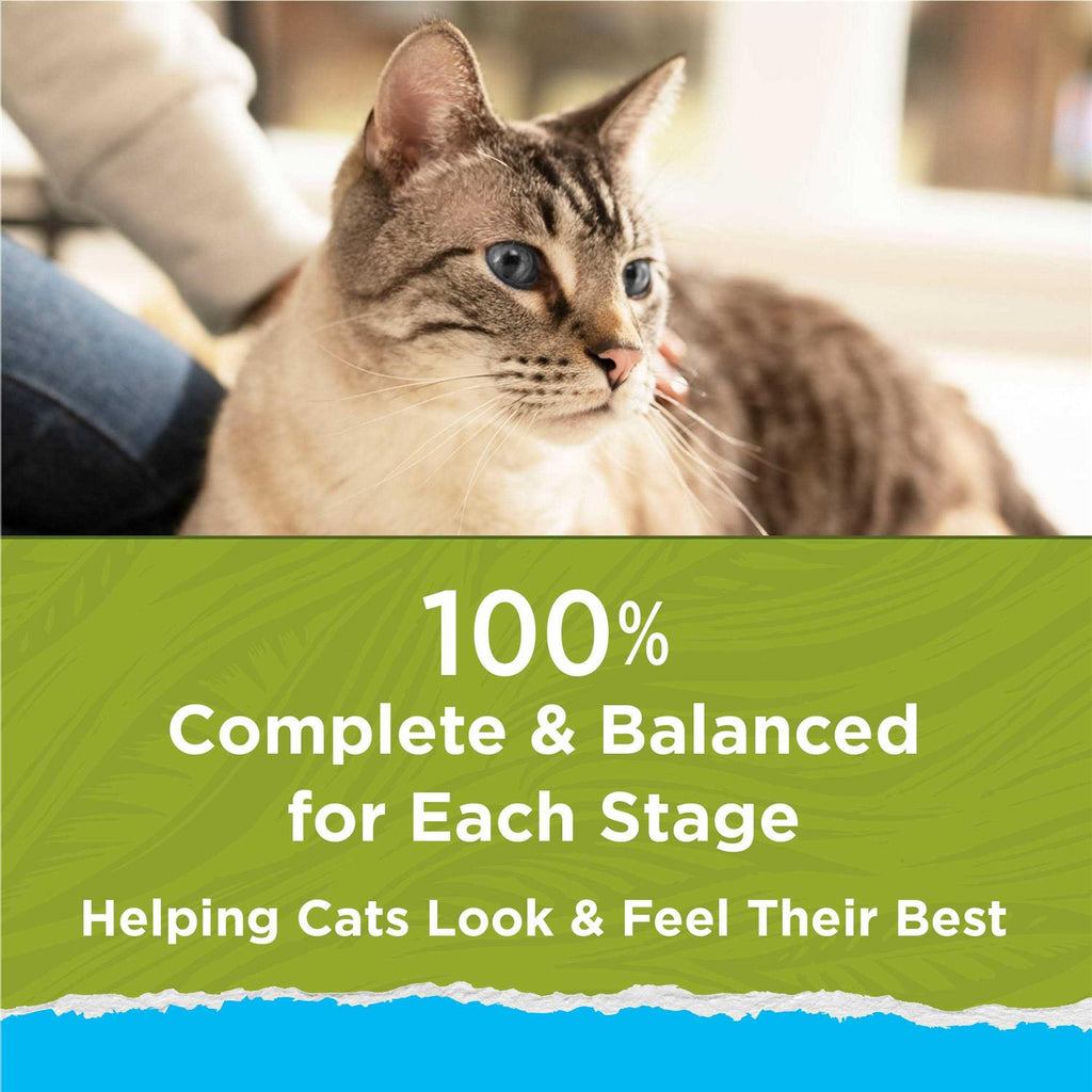 Indoor Dry Cat Food H9868