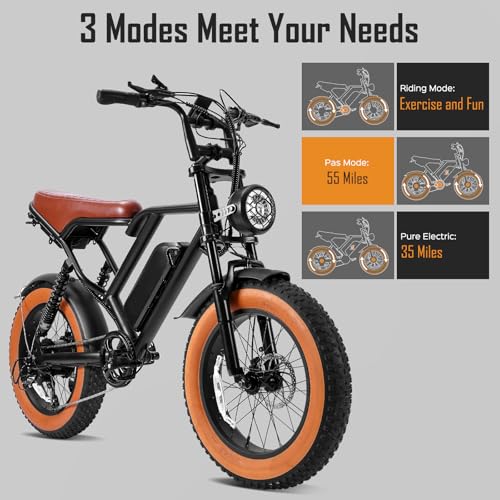1000W 20" Fat Tire 48V 17.5AH Removable Battery Electric Bike M44800