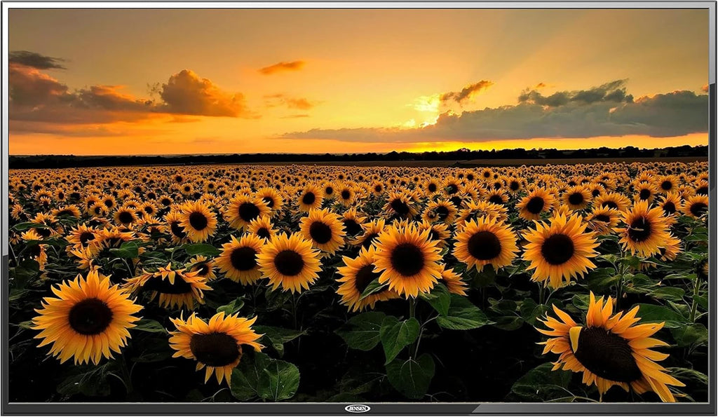 50" LED TFT TV with 1920 x 1080 Resolution S6583