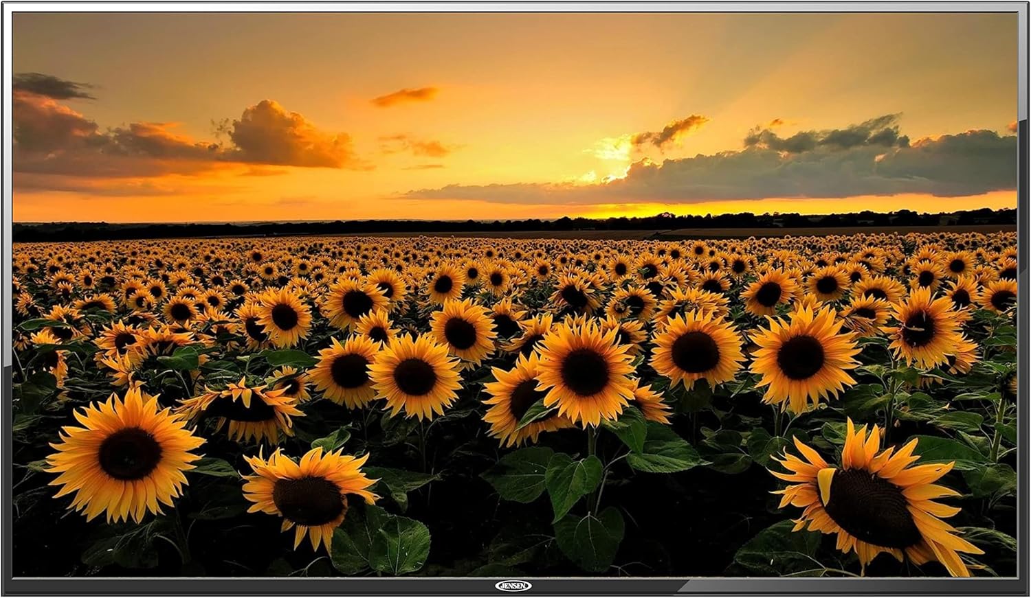 50" LED TFT TV with 1920 x 1080 Resolution S6583
