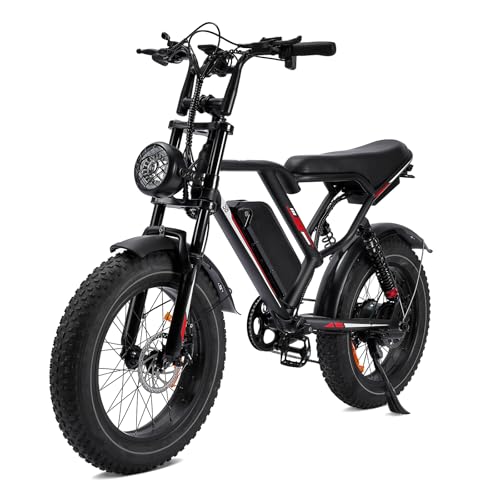 1000W 20" Fat Tire 48V 17.5AH Removable Battery Electric Bike M44800