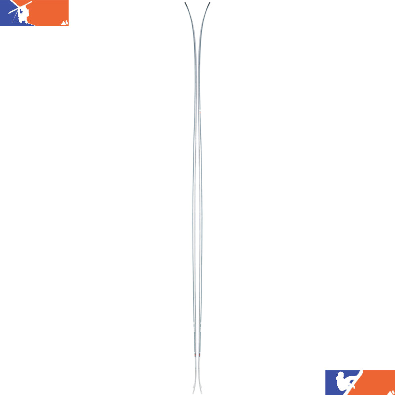 Sakana Skis B389