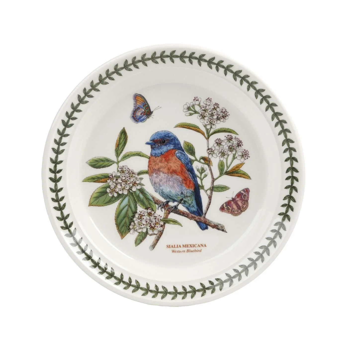 8.5 inch Salad Plate Set of 6 Y744