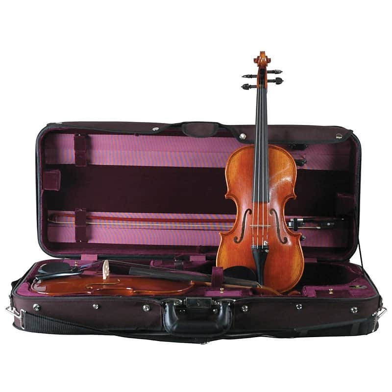 Double Violin Case F28685