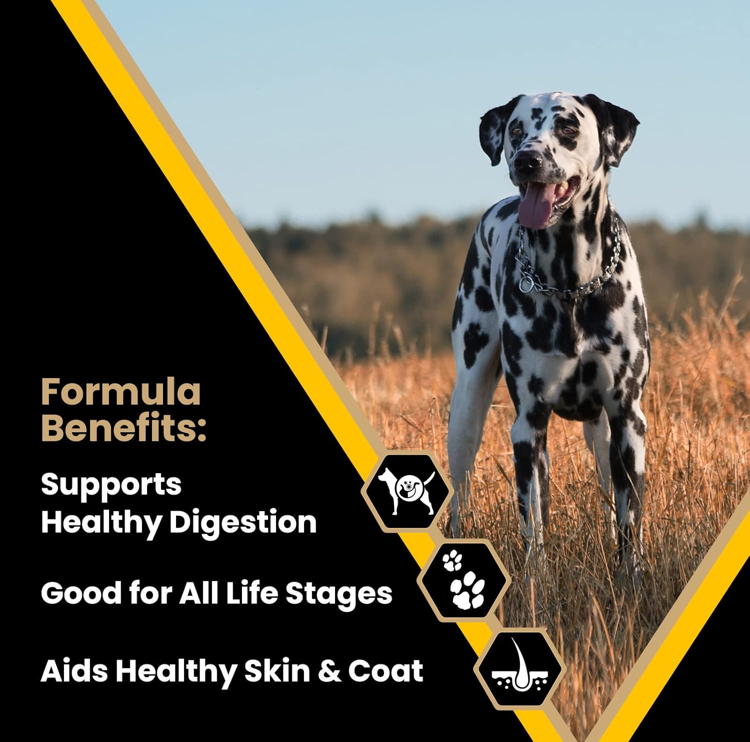 Multi-Pro Dry Dog Food with Beef, Chicken and Pork Protein, 50 lb G358