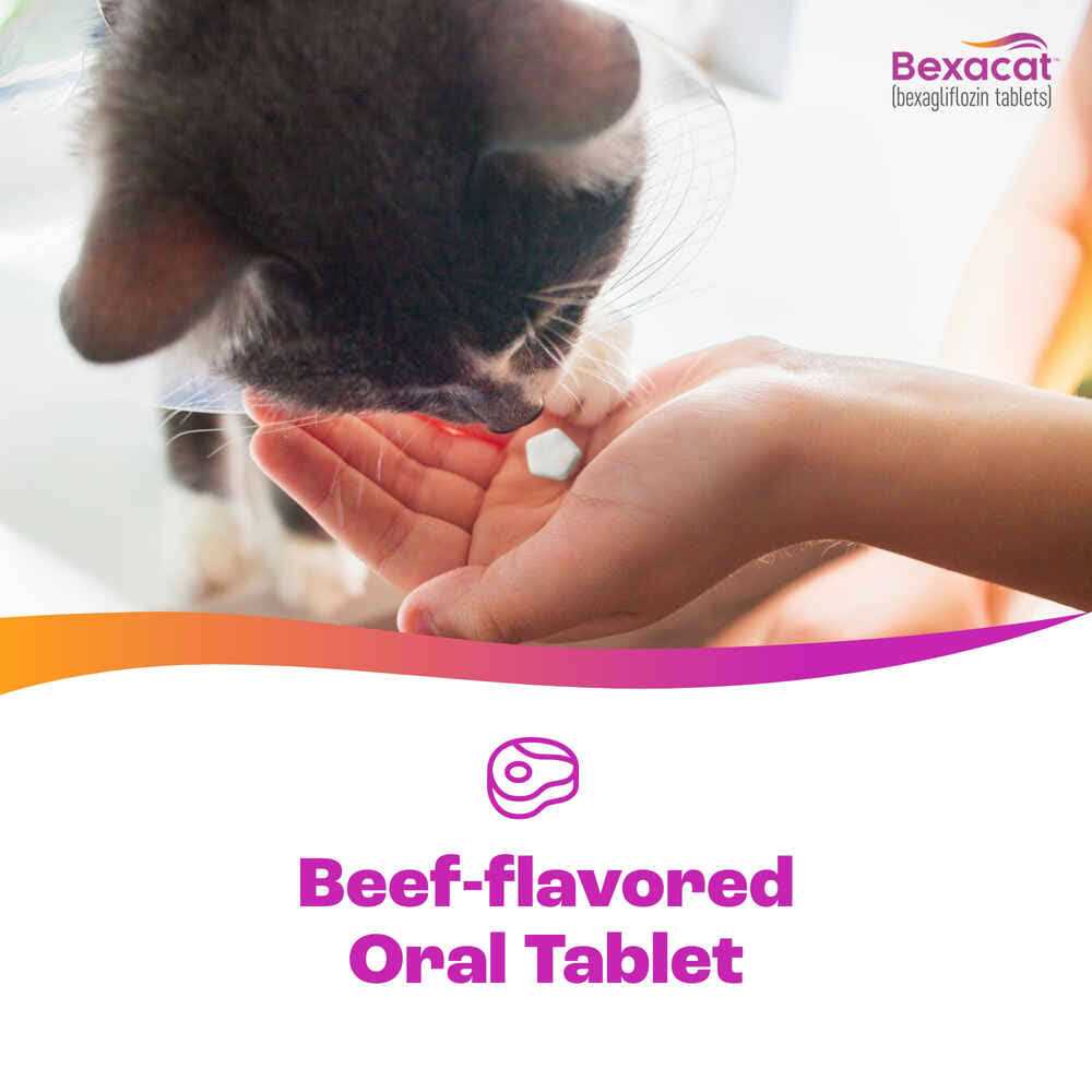 15 mg Bexacat for Cats F4744