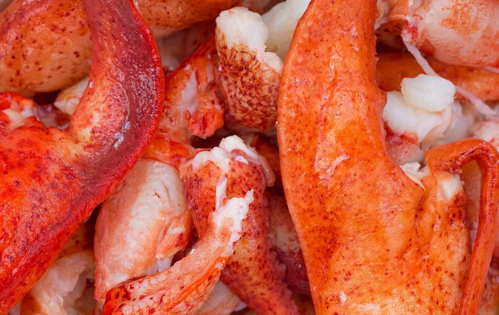 2 lb Bag Lobster Meat Claw and Knuckle Meat E804