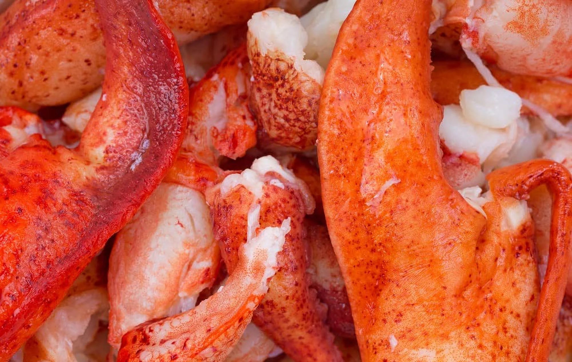 2 lb Bag Lobster Meat Claw and Knuckle Meat E804