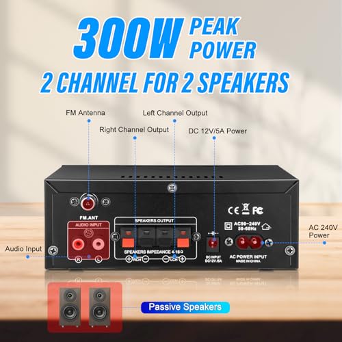 300W 2 Channel Bluetooth Stereo Audio Amplifier F127