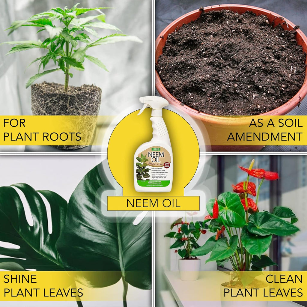20oz Cold Pressed Neem Oil Spray Z721