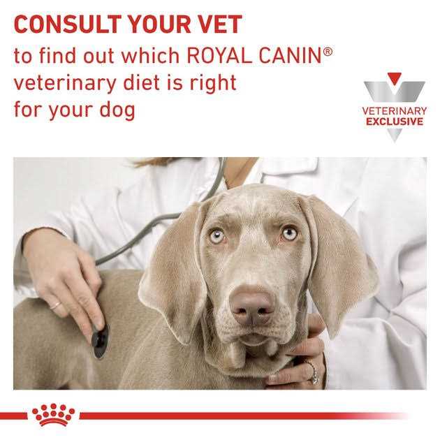 Veterinary Diet Adult Renal Support Early Consult Loaf in Sauce Canned Cat Food H66755
