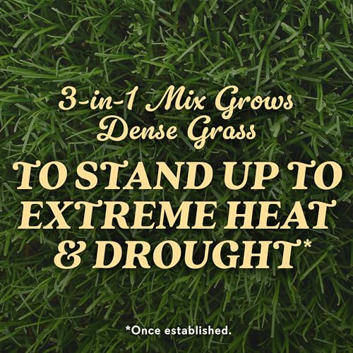 Tall Fescue Blend Grass Seed, 8 lbs. T734