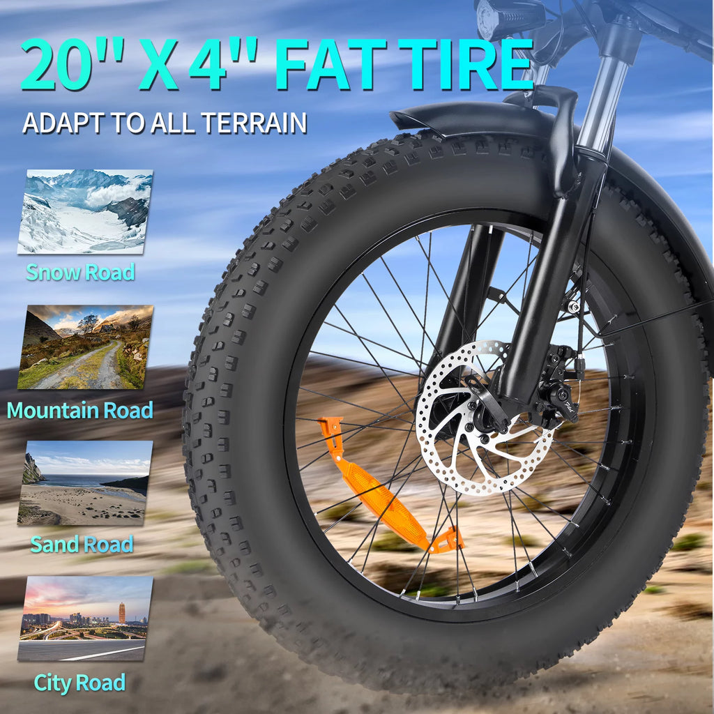 750W 48V 14AH Removable Battery 20" x 4.0 Fat Tire 7-Speed Electric Bike R419