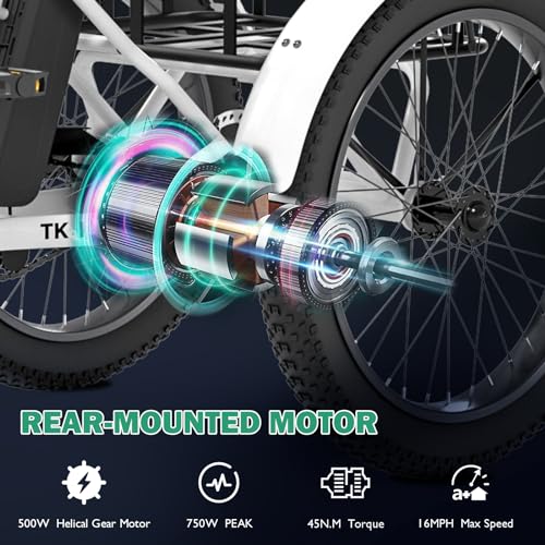 500W Folding Electric Tricycle A117