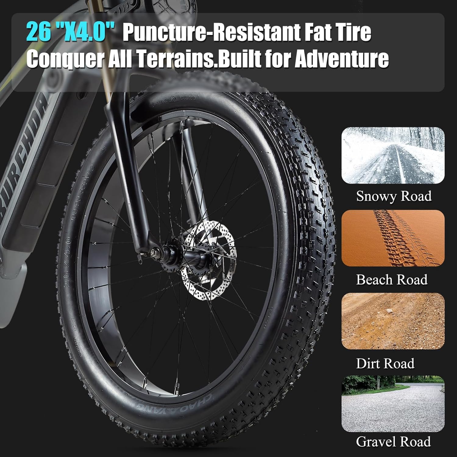 26" Fat Tire 1000W Electric Bike with 48V Removable Battery Q695