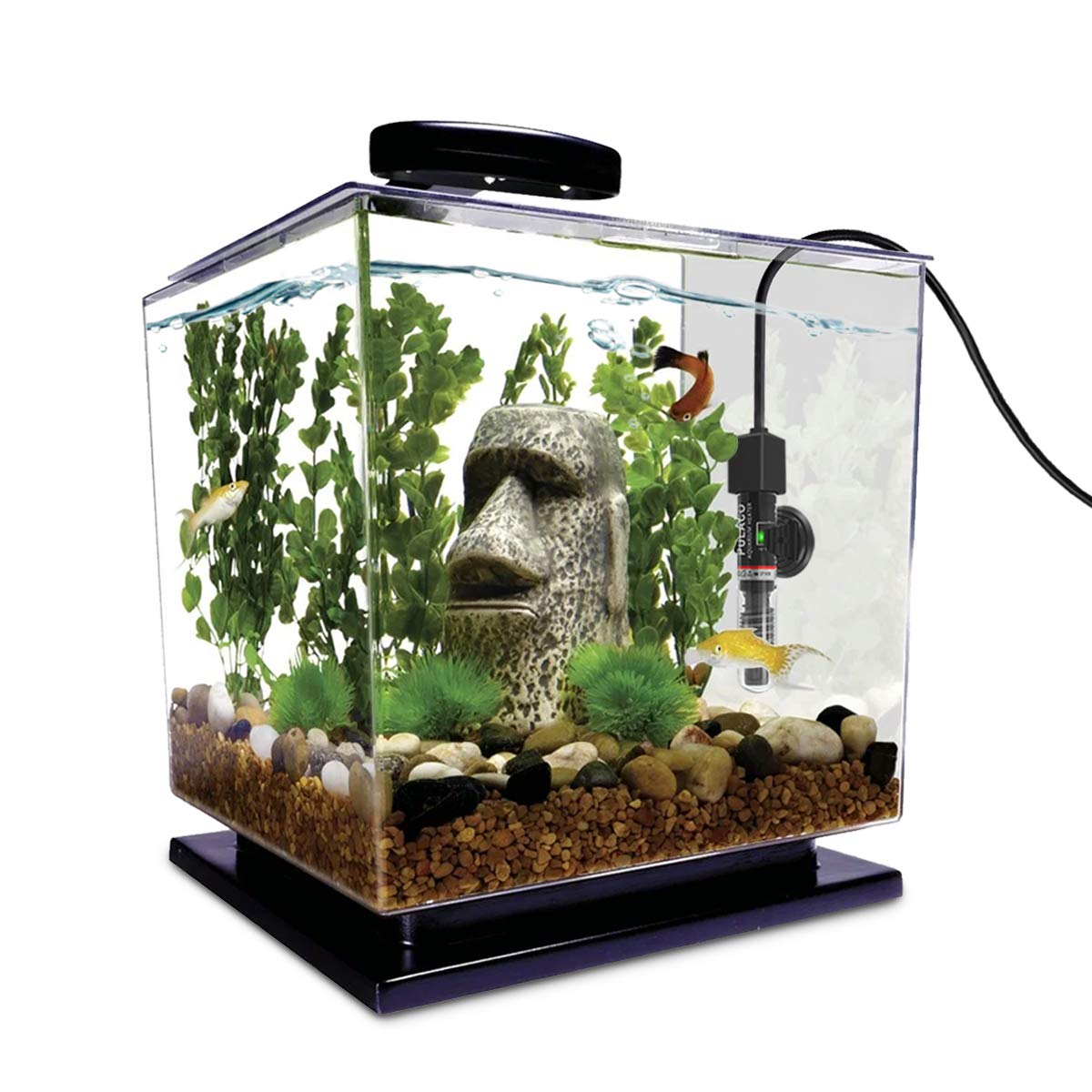 Aquarium Heater and Aquarium Filter R79989