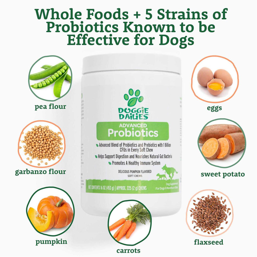 Probiotics for Dogs with Prebiotics M97822