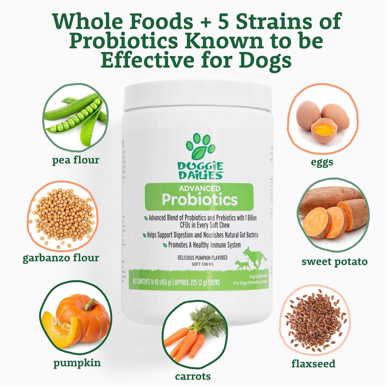 Probiotics for Dogs with Prebiotics M97822