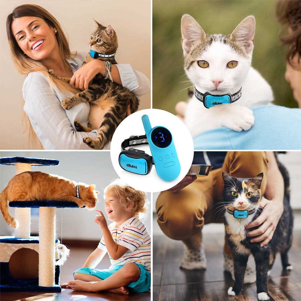Small Cat Shock Collar with Remote J988