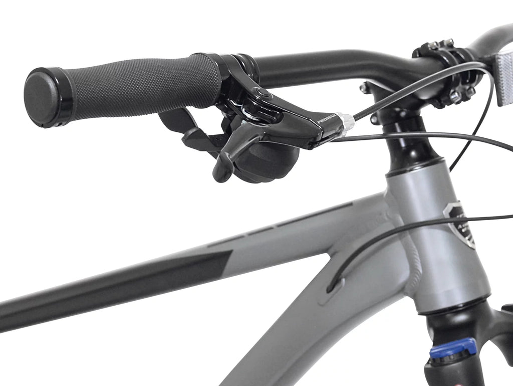 29" Men's Mountain Bike, Black and Taupe C404934