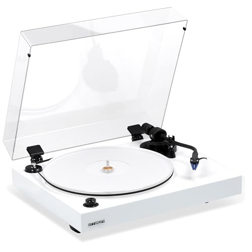 Bamboo Vinyl Turntable Record Player D484