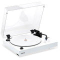 Bamboo Vinyl Turntable Record Player D484