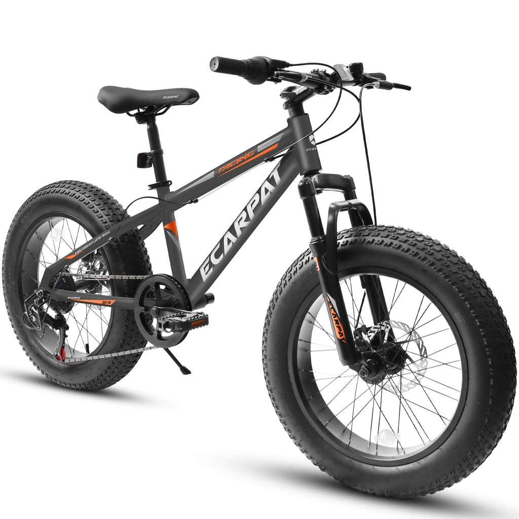 All-Terrain Fat Tire Bike with Shimano 7-Speed I59403