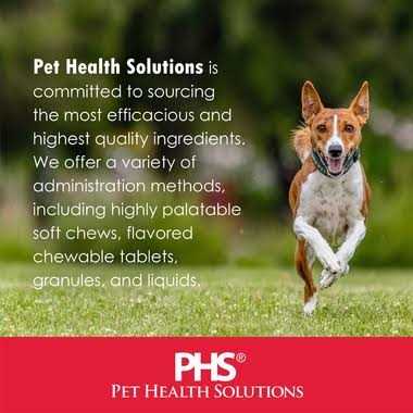1-TDC Periodontal Dog & Cat Supplement B4618