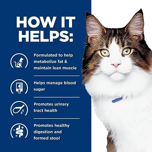 5.5 oz Wet Cat Food, 24-Pack N362006