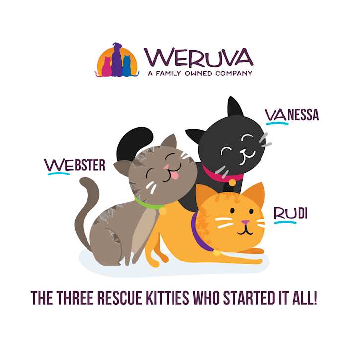 Variety Pack Wet Cat Food V5258