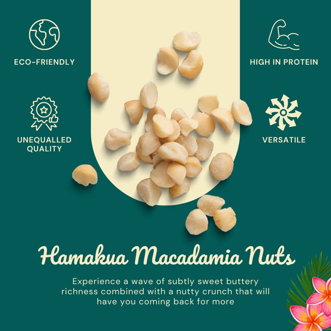 Unsalted Dry Roasted Macadamia Nuts (4 lbs) Y957043