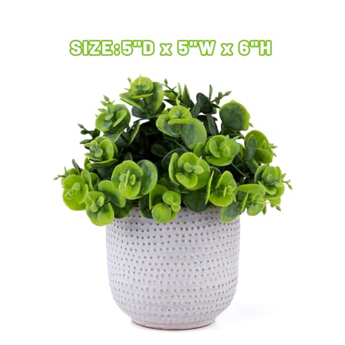 2 Pack Artificial Succulents in Ceramic Planters Fake Greenery Potted X58438