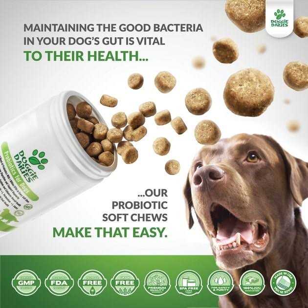 Probiotics for Dogs with Prebiotics M97822