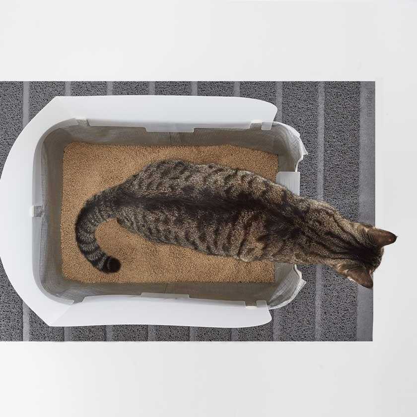 Litter Tray B6419