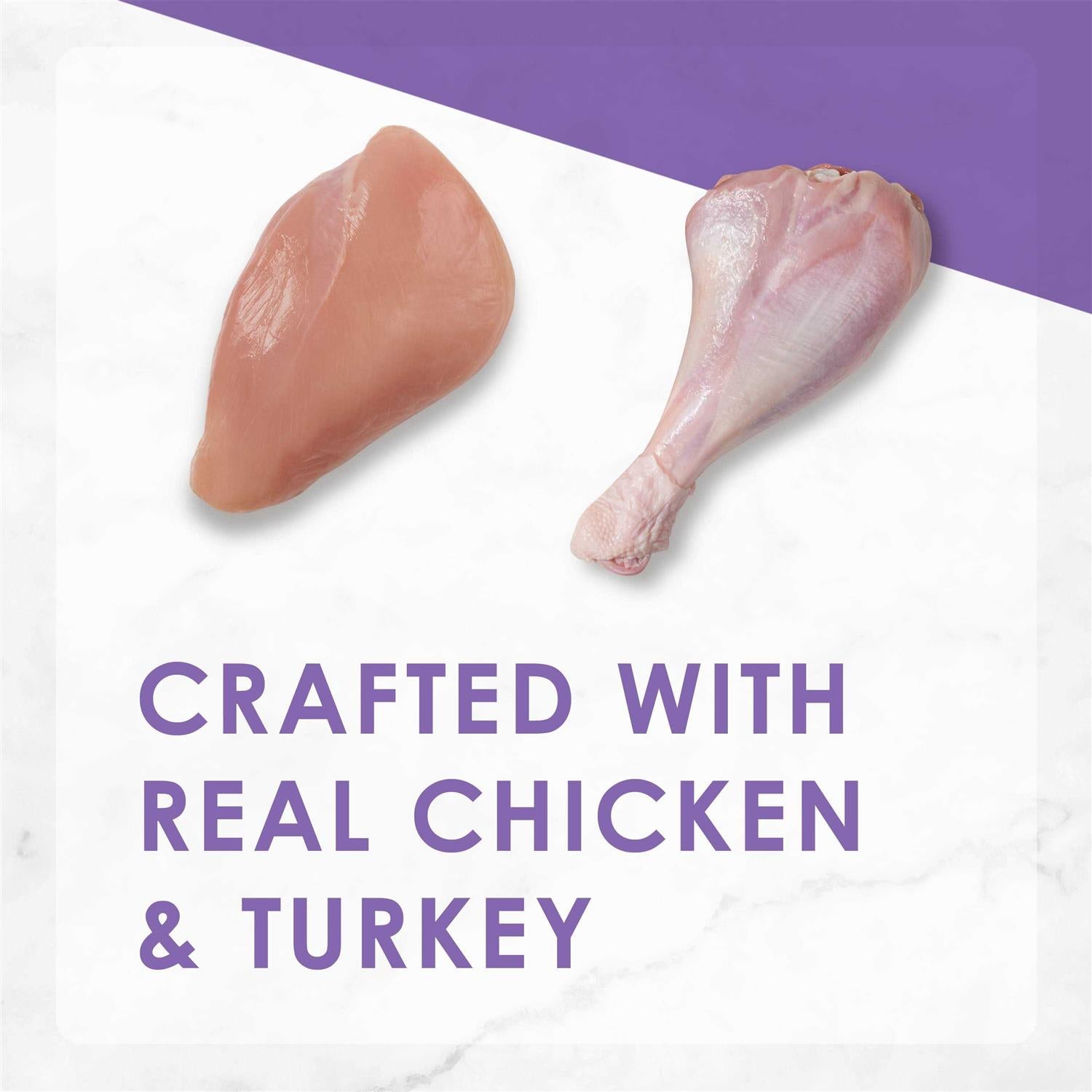 Dry Cat Food Savory Chicken Turkey E490618