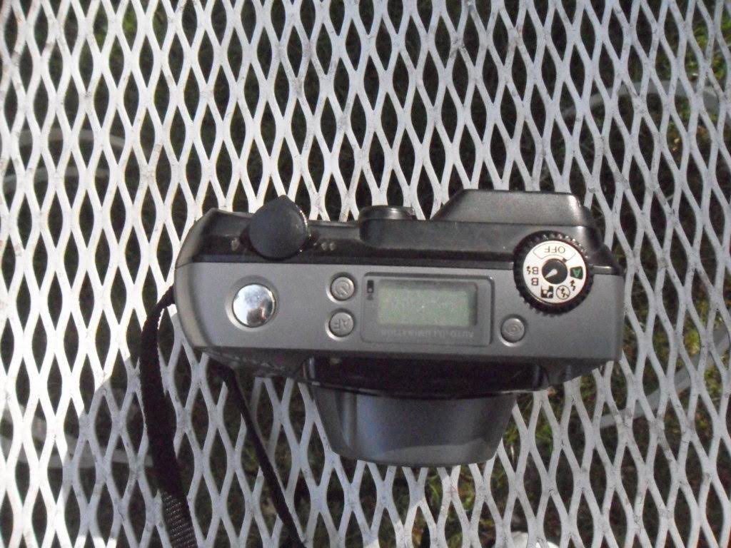 35mm Point & Shoot Film Camera L428