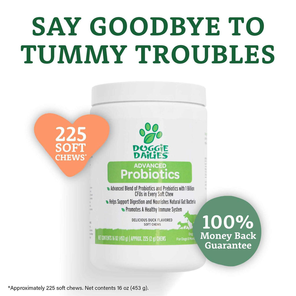 Probiotics for Dogs with Prebiotics M97822
