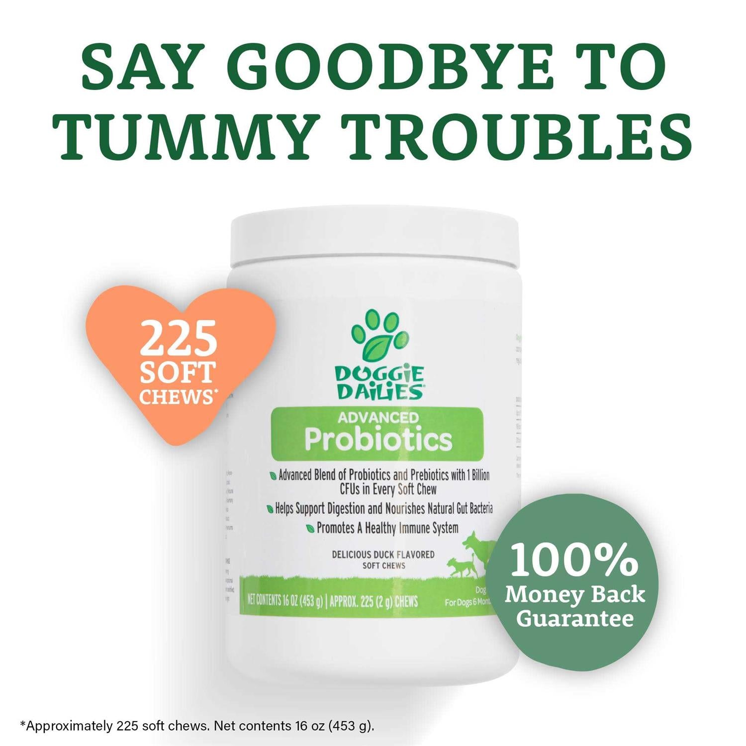 Probiotics for Dogs with Prebiotics M97822