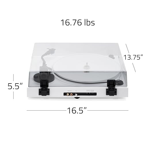 Bamboo Vinyl Turntable Record Player D484