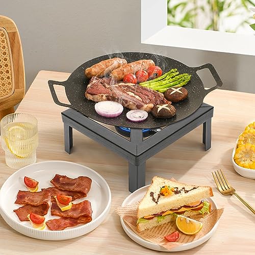 Portable Double Propane Gas Burner Cast Iron Stove with 1.5m Propane Regulator Hose X2637