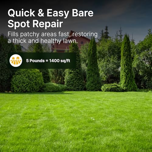 Tall Fescue Grass Seed Mix N509883