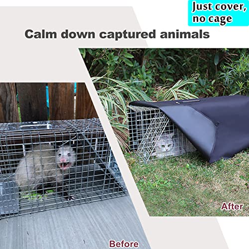 32 Inch Heavy Duty Folding Animal Trap Cage with Cover 2 Packs Q7176