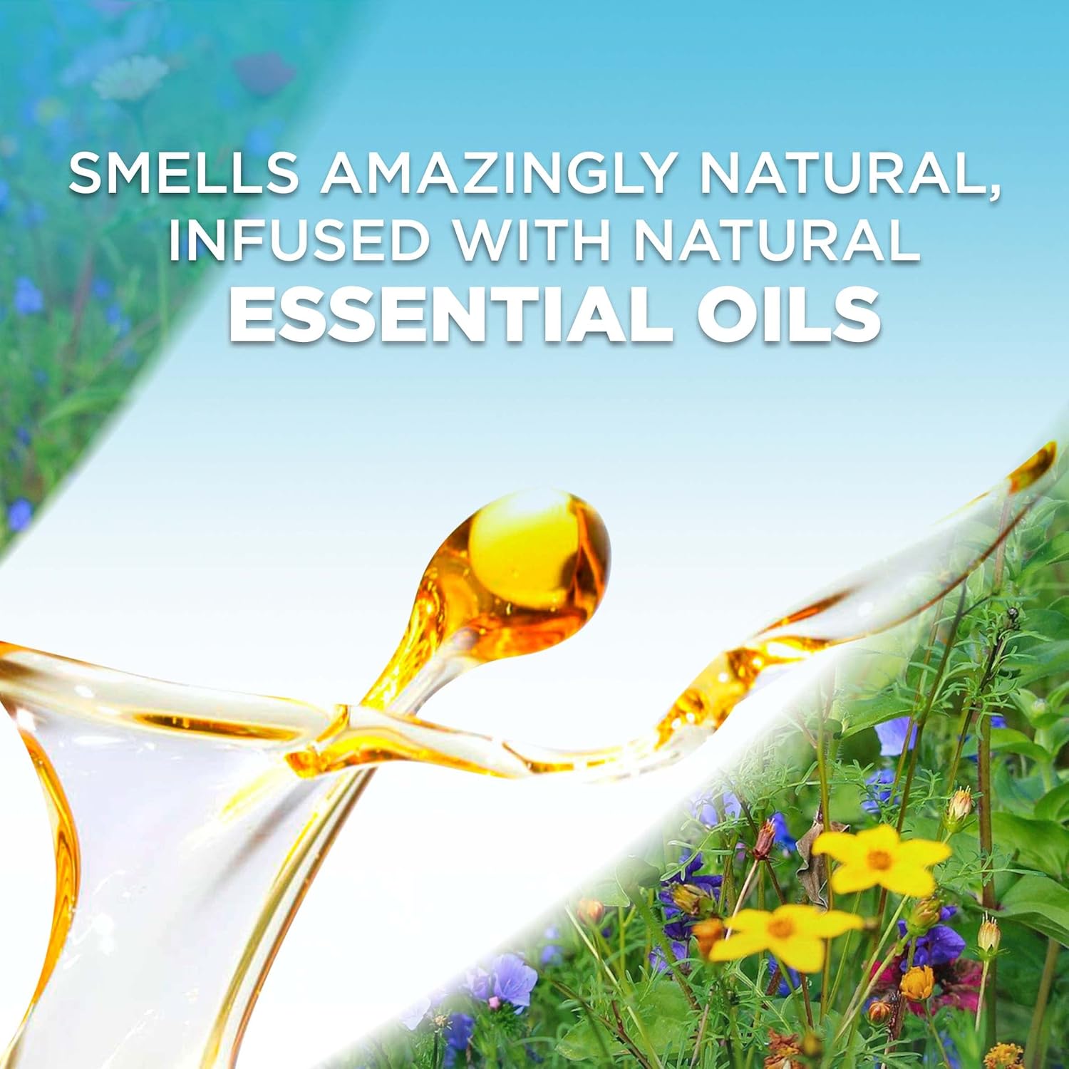 5 ct Brown Sugar and Vanilla Scented Oil Refill S43210