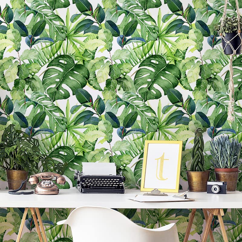 Tropical Peel and Stick Wallpaper Palm Leaves Removable 17.7in x 118in P170