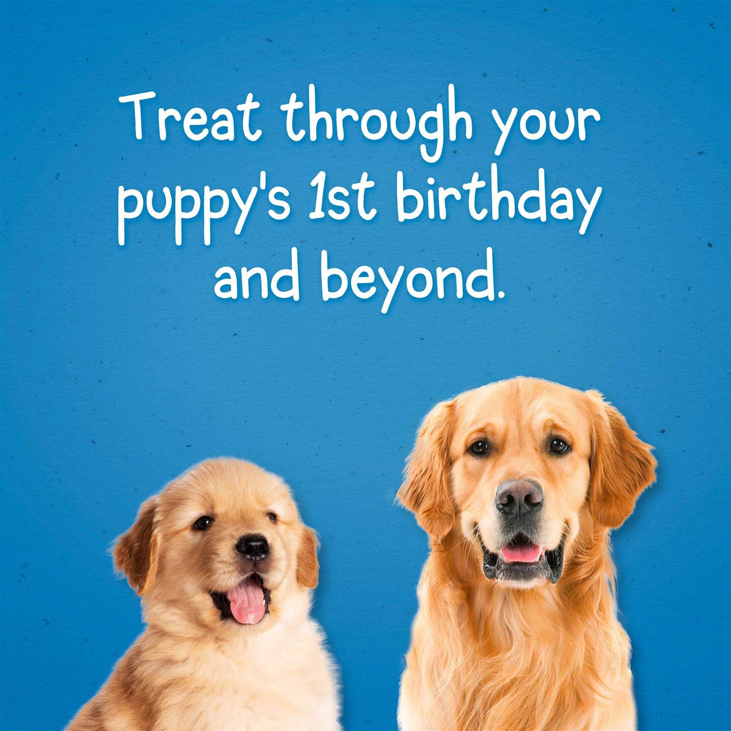 Dog Training Treats D33178