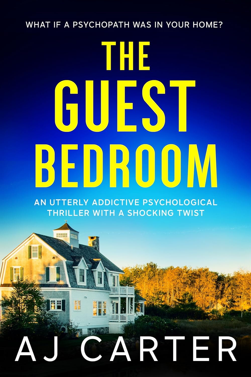Psychological Thriller B722