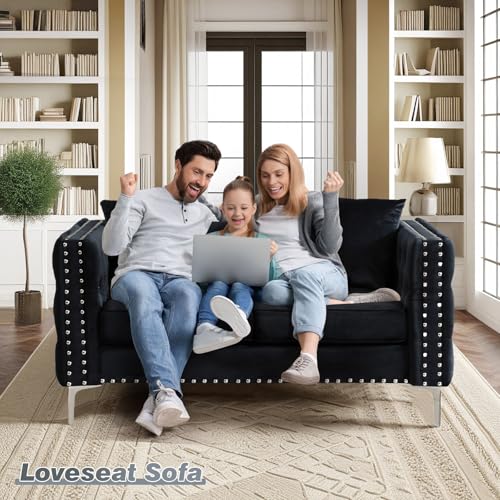 Blue Velvet 2 Piece Sofa Set D426